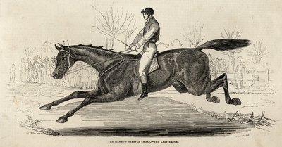 Das Harrow Steeple Chase: Der letzte Bach, aus 