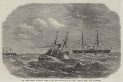 Der Schakal Tender und Boote, die den amerikanischen Postdampfer bei Roche