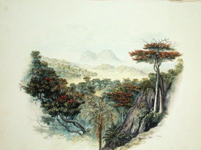 Die Berge, Ceylon von English School