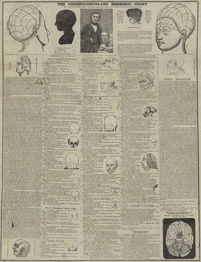 Die phrenologische und mesmerische Karte von English School