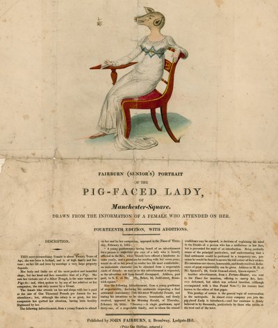 Die Schweinegesichtige Dame von Manchester Square, London von English School