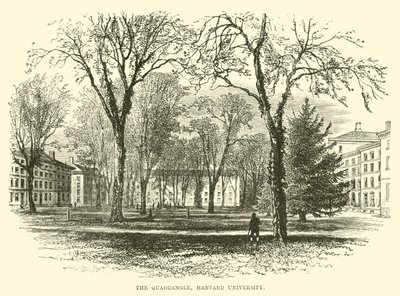 Der Innenhof, Harvard University von English School