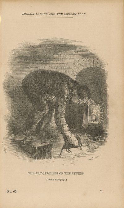 Die Rattenfänger der Abwasserkanäle von English School
