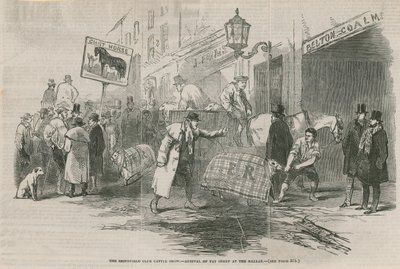 Der Smithfield Club Viehmarkt von English School