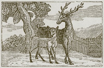 Der Hirsch und das Rehkitz von English School