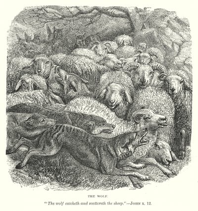 Der Wolf von English School