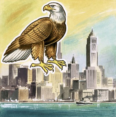 Der Weißkopfseeadler, Emblem der Vereinigten Staaten von English School