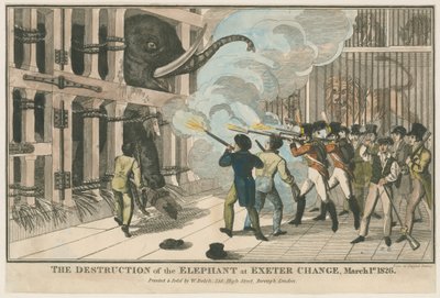 Die Zerstörung des Elefanten im Exeter Change, 1. März 1826 von English School