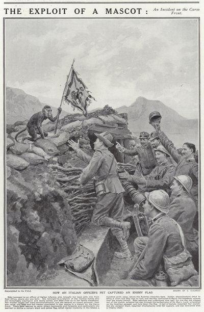 Die Heldentat eines Maskottchens von English School