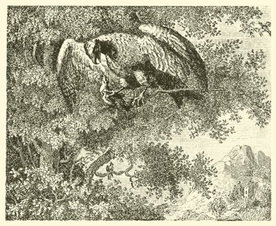 Der Falke und die Nachtigall (Gravur) von English School