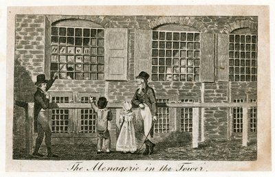 Die Menagerie im Tower of London um 1820 von English School