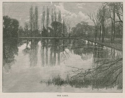 Der neue öffentliche Park in Highgate: der See von English School
