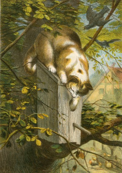 Der Star und sein Nest, und die Katze von English School