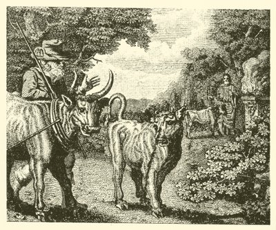 Das lüsterne Kalb (Gravur) von English School
