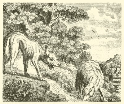 Der Wolf und das Lamm von English School