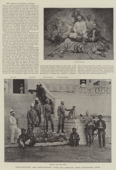 Tigerjagd und Hirschjagd mit dem Geparden, in der Nähe von Hyderabad, Indien von English School