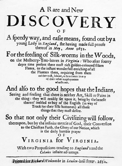 Titelseite von The Reformed Virginian Silk-Worm von Samuel Hartlib, veröffentlicht 1652 von English School