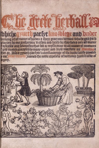 Titelblatt, das eine Gartenszene mit Figuren illustriert, 1529 von English School