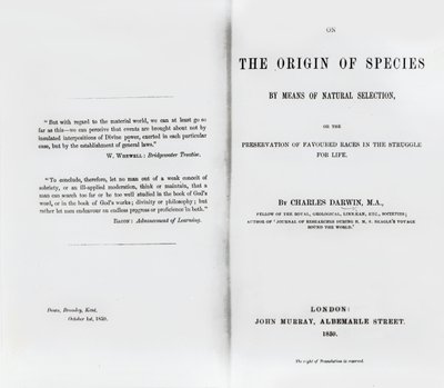 Titelseite zu On the Origin of Species von Charles Darwin, veröffentlicht 1859 von English School