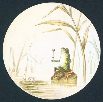 Kröte auf Felsen im Teich, Karte von English School