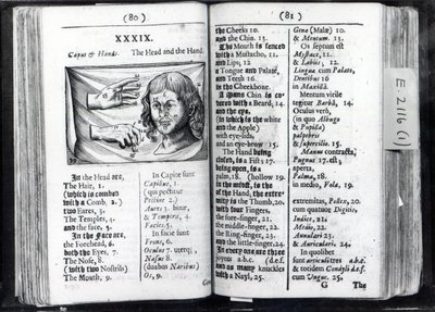 Zwei Seiten aus Orbis Sensualium Pictus von Comenius, 1659 von English School