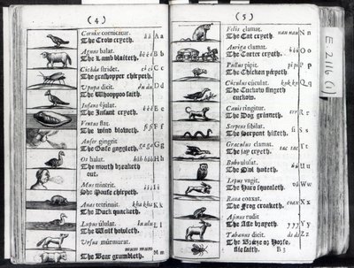 Zwei Seiten aus Orbis Sensualium Pictus von Comenius, 1659 von English School