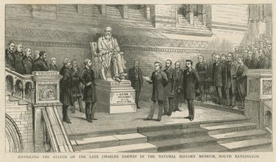 Enthüllung der Statue des verstorbenen Charles Darwin im Natural History Museum, South Kensington von English School