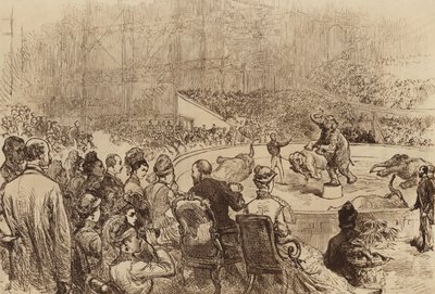 Besuch des Prinzen und der Prinzessin von Wales und des Königs und der Königin von Griechenland, 1876 von English School