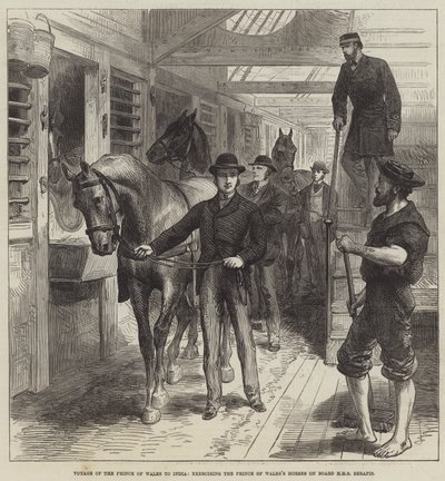 Reise des Prinzen von Wales nach Indien, Übung der Pferde des Prinzen von Wales an Bord der HMS Serapis (Stich) von English School