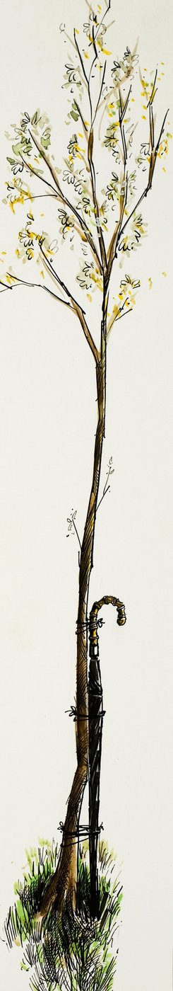 Spazierstock mit Baum von English School