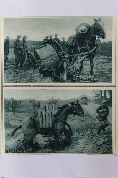 Kriegspferde versinken im Schlamm, Nordfrankreich, August 1917 von English School