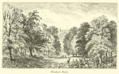 Windsor Park von English School