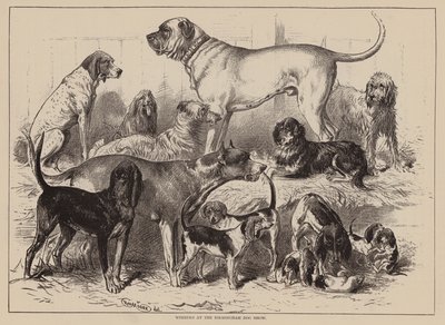 Gewinner der Birmingham Dog Show von English School