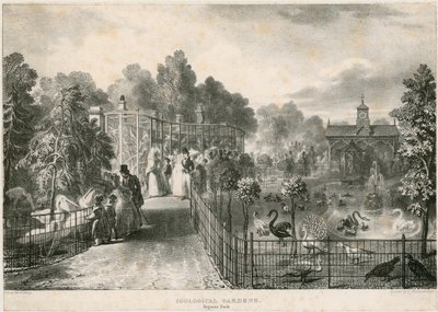 Zoologische Gärten, Regents Park von English School
