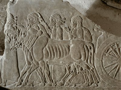 Assyrische Soldaten mit Ochsenkarren führen elamitische Kriegsgefangene nach der Schlacht von Til Tuba ins Exil von Erich Lessing