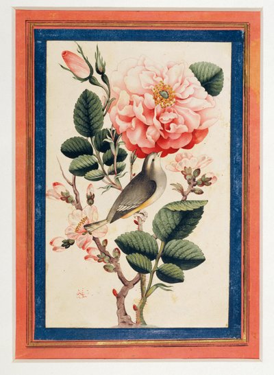 Rose und Nachtigall von Erich Lessing