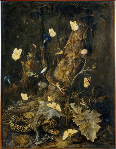 Schlangen und Schmetterlinge von Erich Lessing
