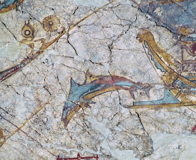 Schiffsschnabel und Delphin von Erich Lessing