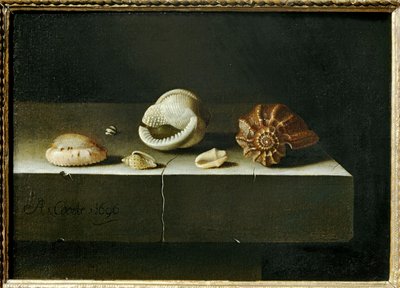Sechs Muscheln auf einem Stein von Erich Lessing