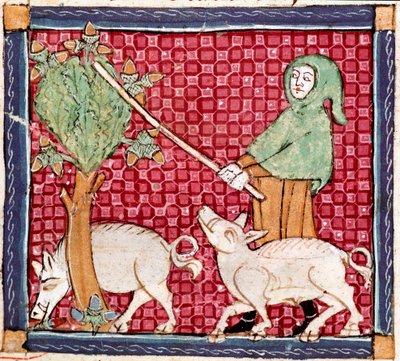 September: Schweine fressen Eicheln (Miniatur aus „Breviaire d
