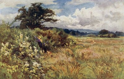 Erhöhtes Gelände von Ernest Benger or Berenger