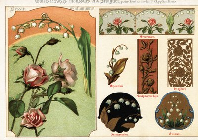 Bilder von Moosrose und Maiglöckchen aus Manuskripten und deren Anwendung von Ernest Guillot