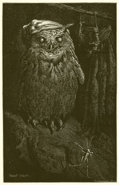 Die Eule und die Heuschrecke von Ernest Henry Griset
