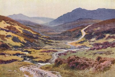 Ein Moorweg, Die Teufelsbrücke von Ernest William Haslehust