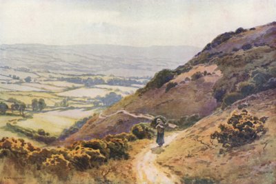 Ballard Down, Swanage von Ernest William Haslehust