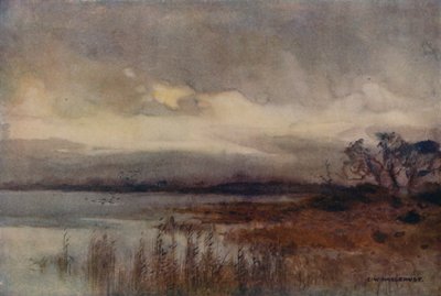 Hickling Broad von Ernest William Haslehust