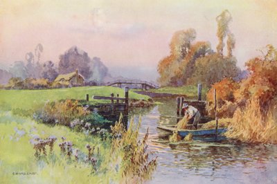 Themse: Seitenarm zum Wey von Ernest William Haslehust