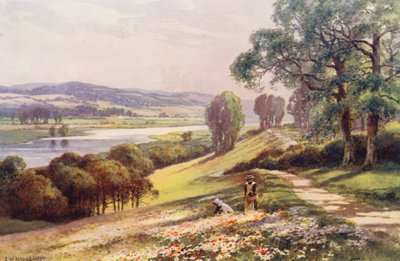 Fluss Themse: Bourne End von Quarry Hill von Ernest William Haslehust
