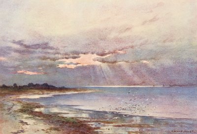 Fluss Themse: Blick nach Süden zum Nore (Farblithografie) von Ernest William Haslehust
