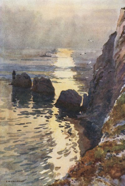 Die Nadeln von Ernest William Haslehust